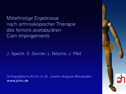 Vortrag_Hip_Arthroscopy_AGA_Wiesbaden_2013.pdf